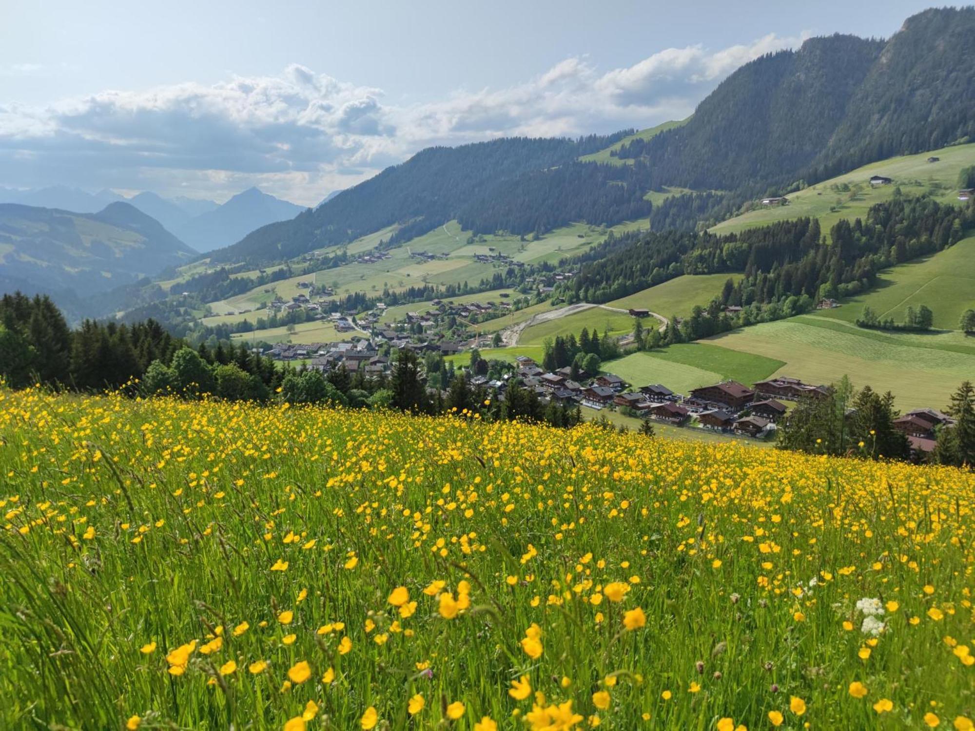 Chalet Mountain View Alpbach Exterior photo